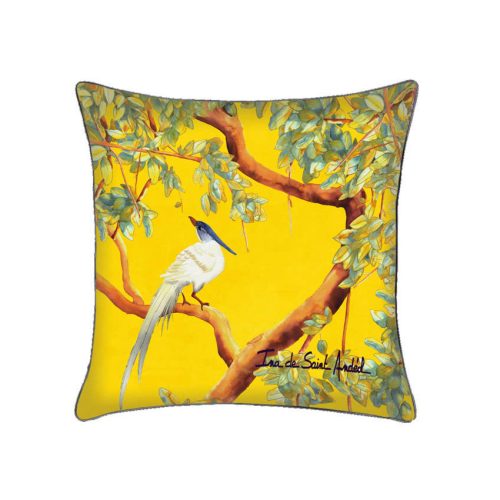 ina-de-saint-andeol-coussin